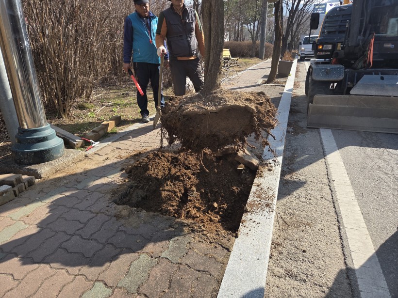 ca5553daa92136837fcca8bd2f78705c_1774512