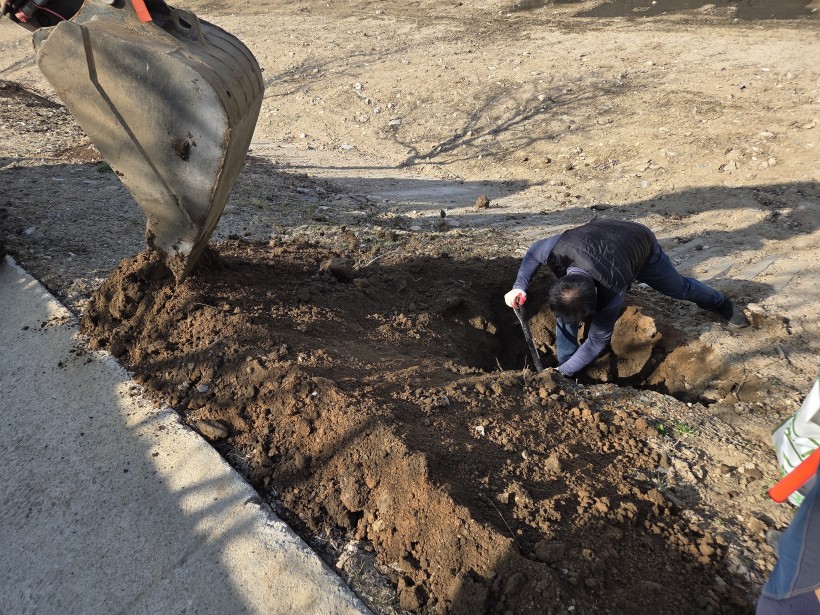 ca5553daa92136837fcca8bd2f78705c_1774512