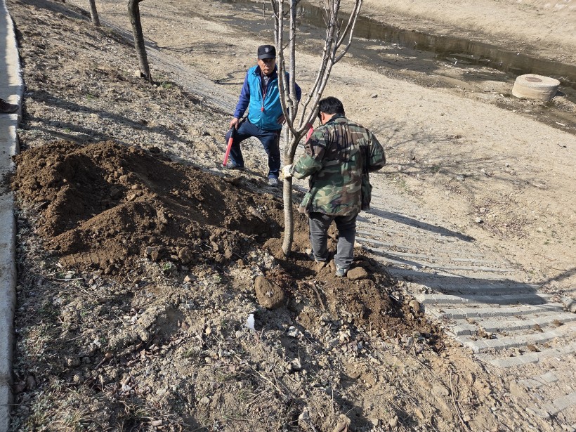 ca5553daa92136837fcca8bd2f78705c_1774512