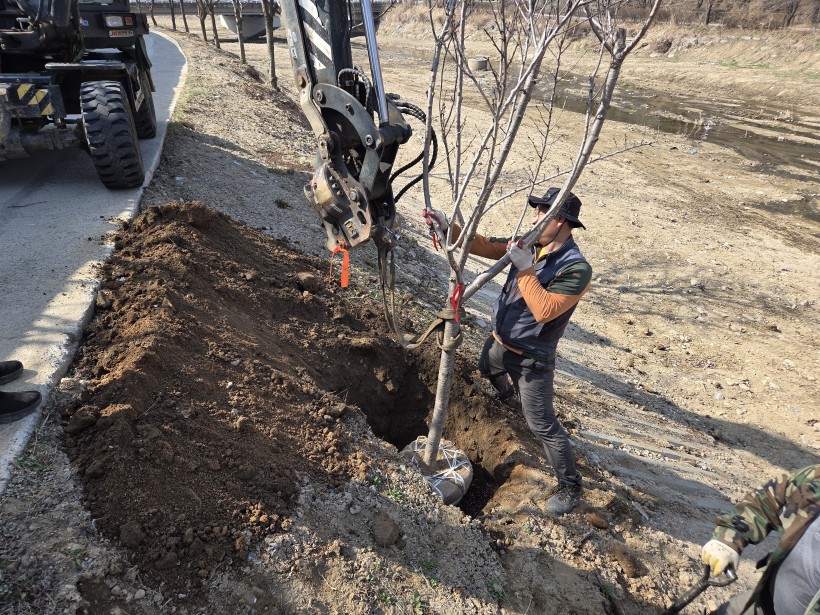 ca5553daa92136837fcca8bd2f78705c_1774512