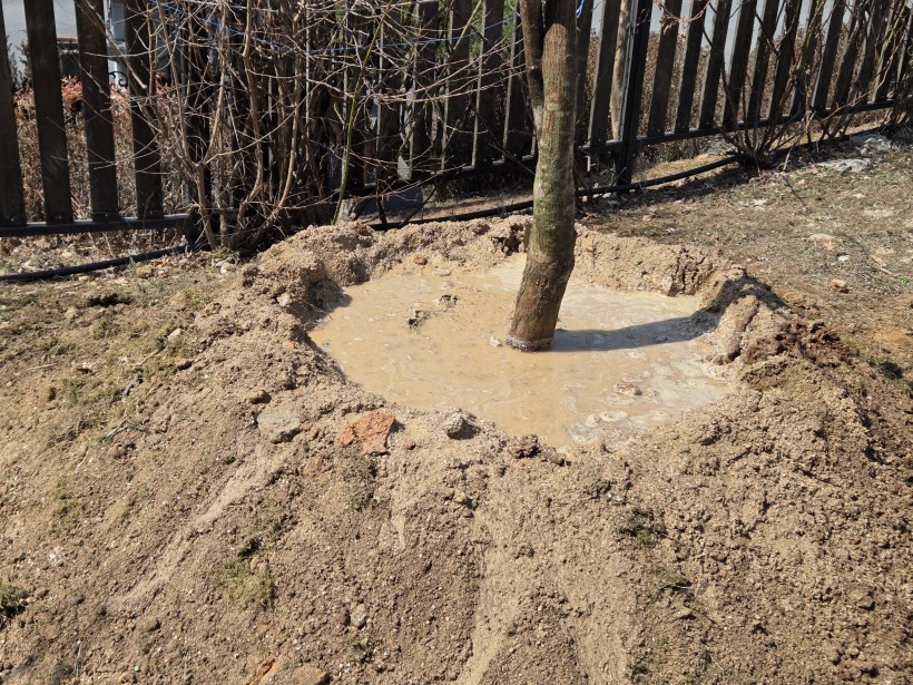 ca5553daa92136837fcca8bd2f78705c_1774512